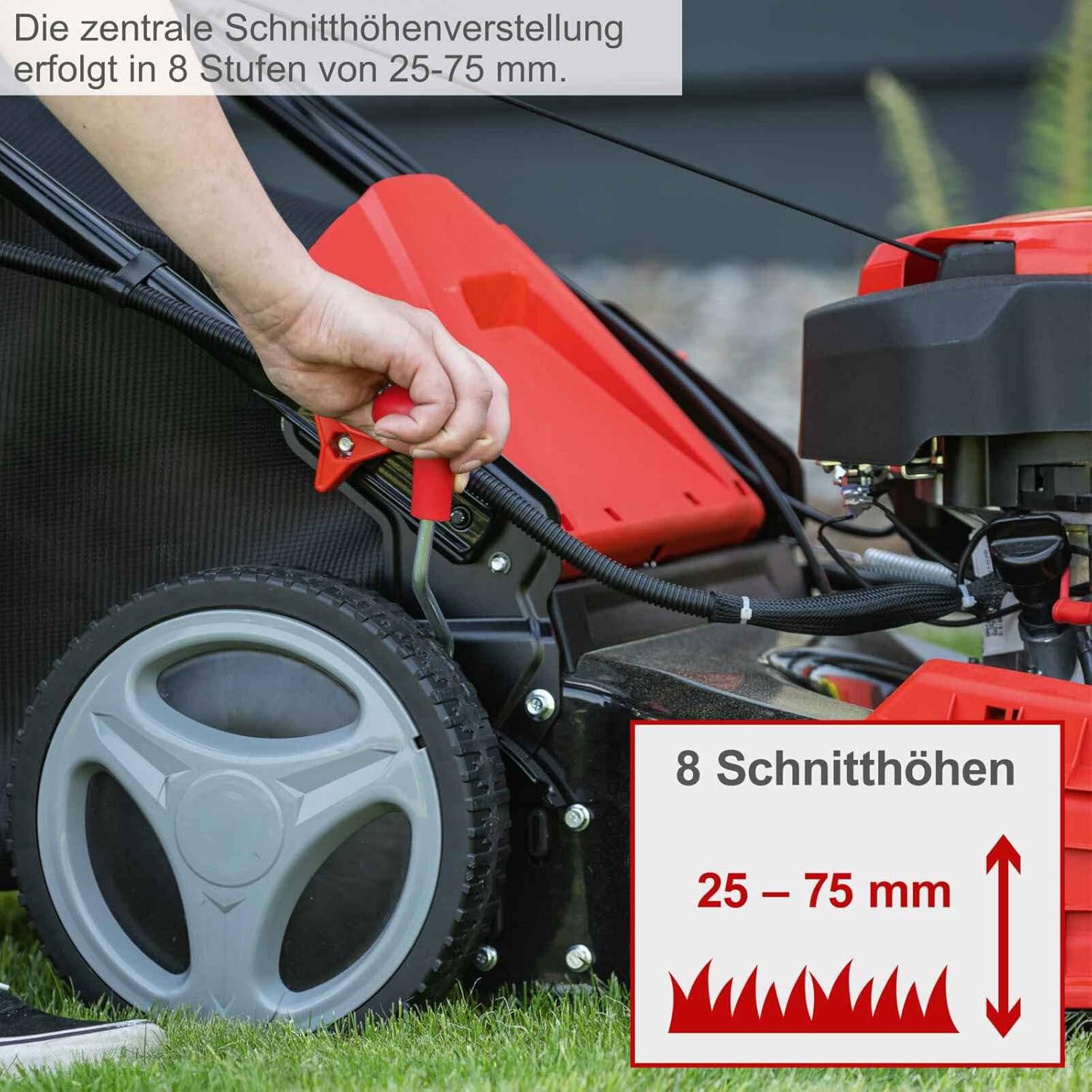 Scheppach MS150-46E Benzin Rasenmäher mit E-Start | 46cm Schnittbreite | Reinigungsfunktion | 55 Liter Fangkorb | Stahlgehäuse | 7-stufige Höhenverstellung | Mulchfunktion | Radantrieb | Seitenauswurf – Bild 9