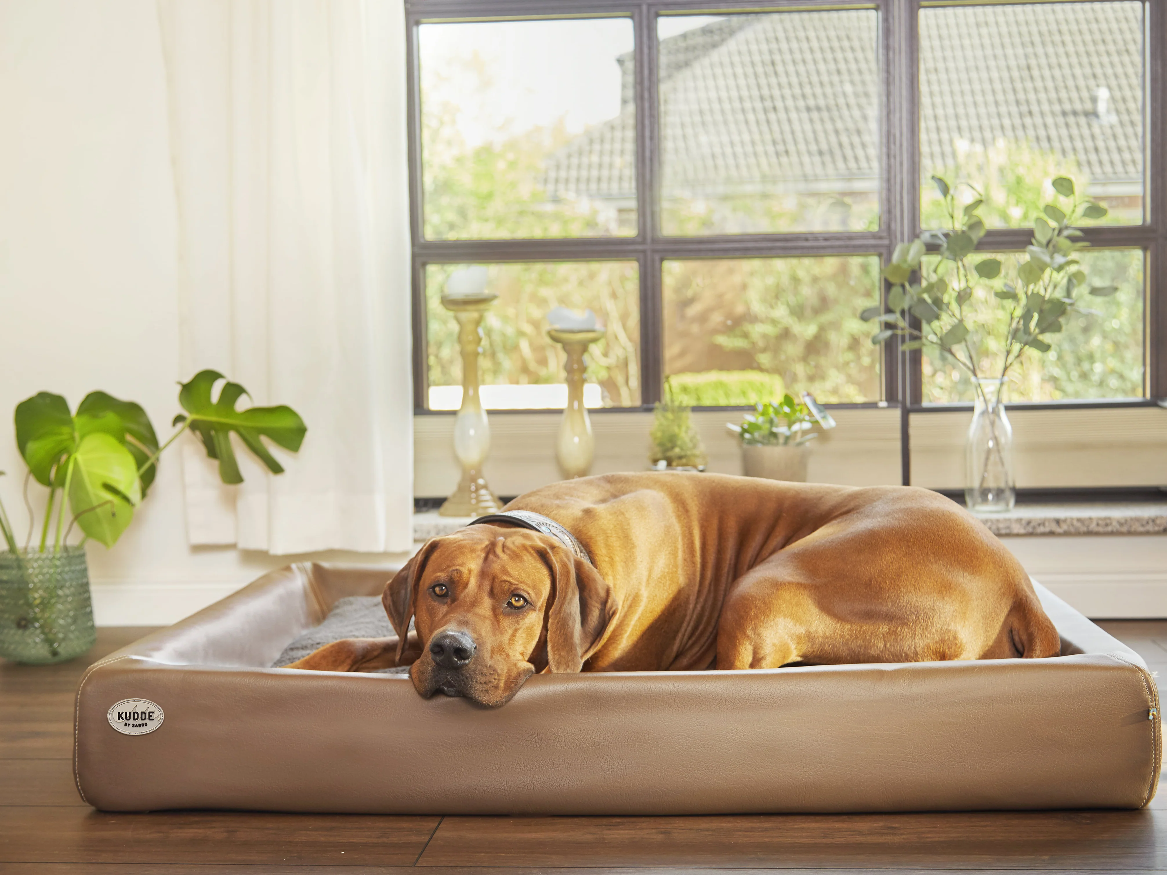 Hundebett KUDDE – Bild 12