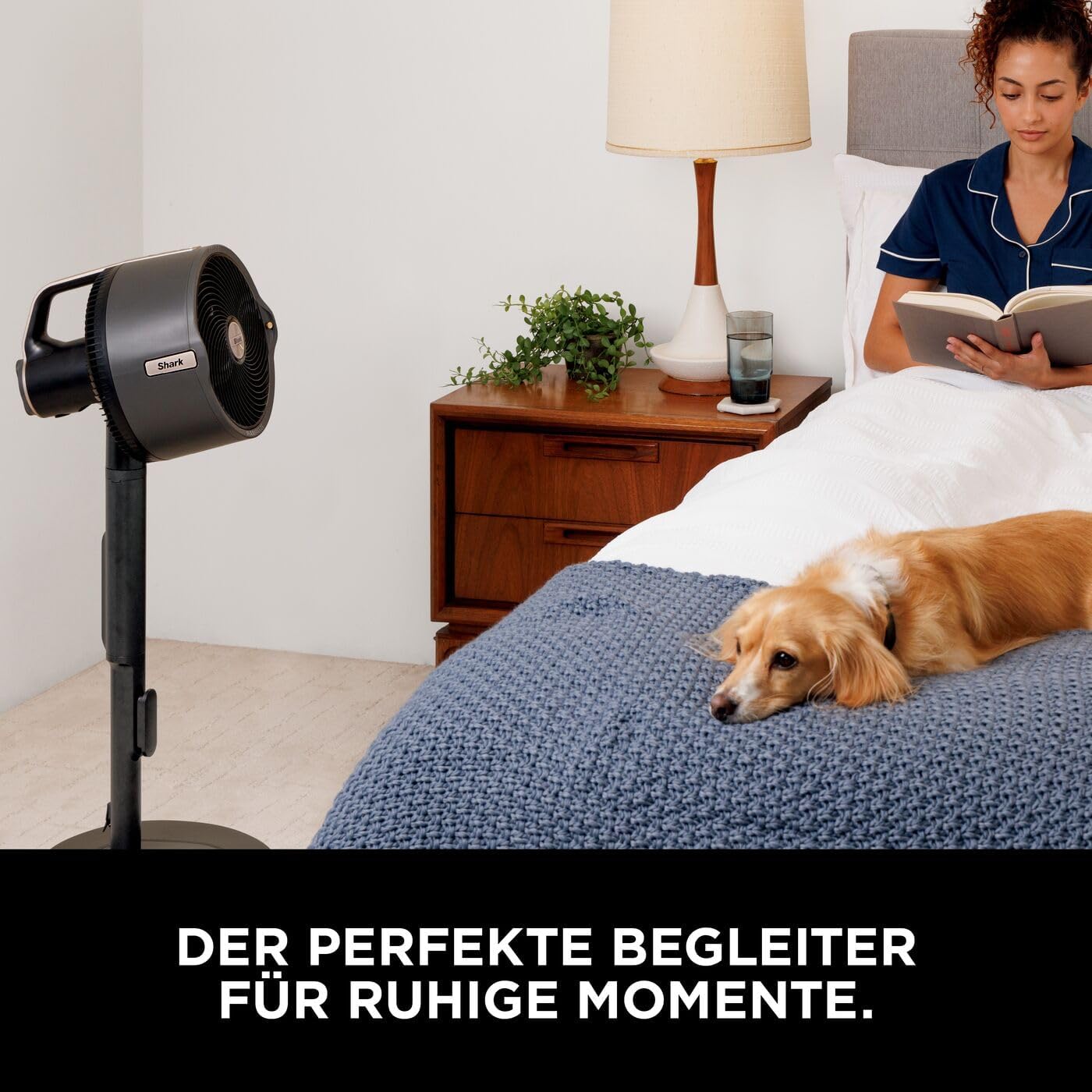 Shark FlexBreeze Ventilator Leise, Hybrid Ventilator Kabelgebunden & Kabellos, Tragbar, für Innen- und Außenbereich, UV- & Wasserbeständig, Ultraleistungsstark, Ultraleise, Weiß FA220EU – Bild 27