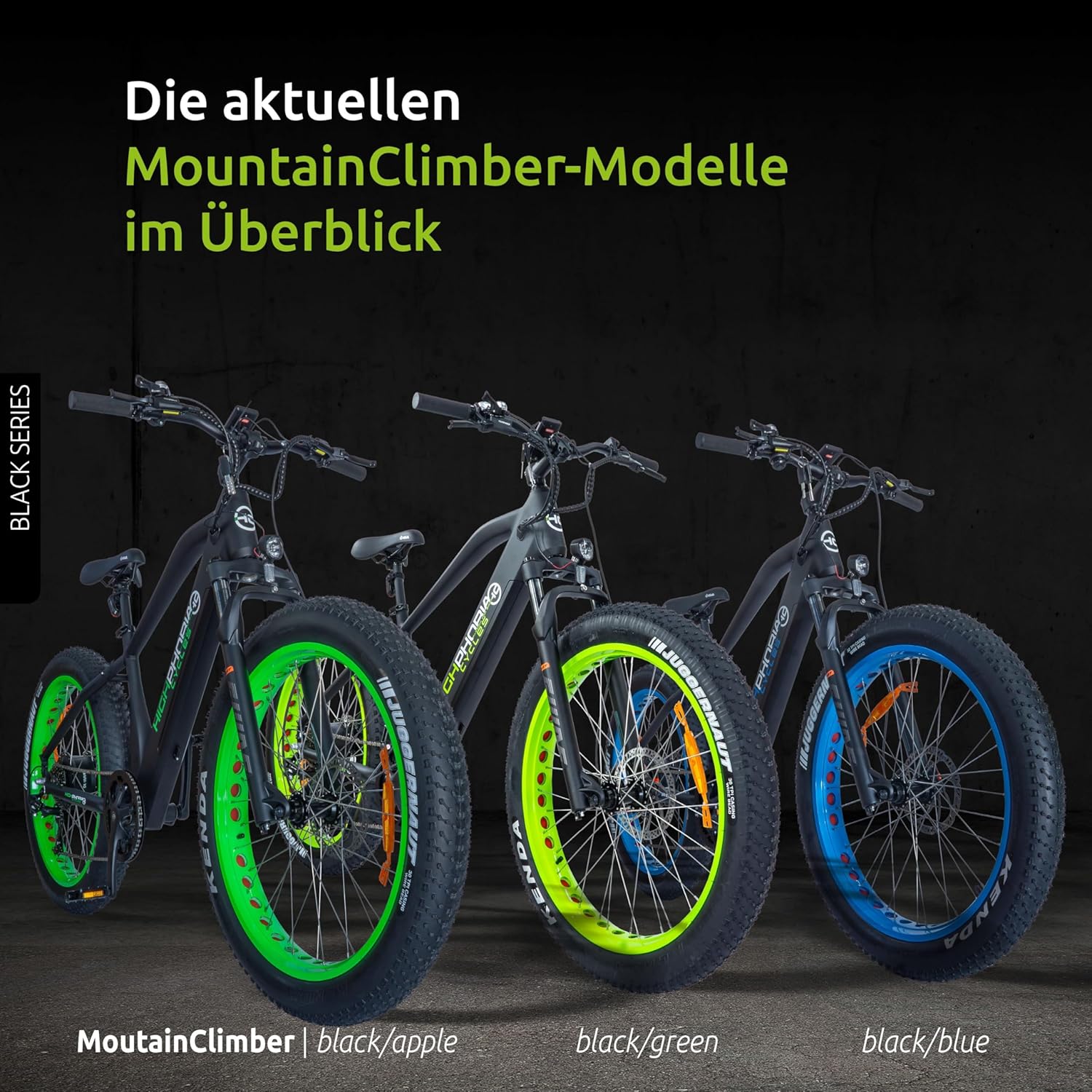 Highphoria Elektrofahrrad Erwachsene, 250W 25 km/h E-Bike mit Batterie, Starker Motor, Kettenschaltung, E-Mountainbike mit Hydraulische Federgabel Pedelec für Damen & Herren – Bild 32
