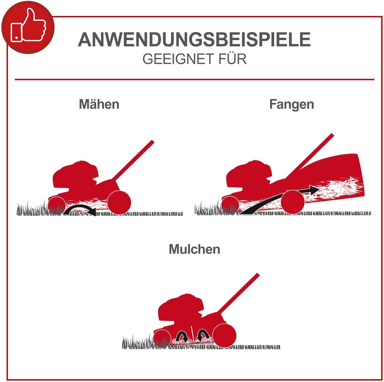 Scheppach MS150-46E Benzin Rasenmäher mit E-Start | 46cm Schnittbreite | Reinigungsfunktion | 55 Liter Fangkorb | Stahlgehäuse | 7-stufige Höhenverstellung | Mulchfunktion | Radantrieb | Seitenauswurf – Bild 6