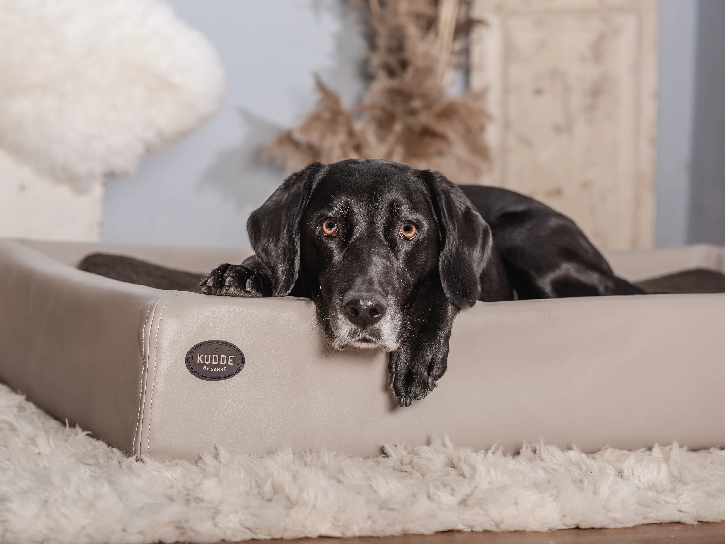Hundebett KUDDE – Bild 6