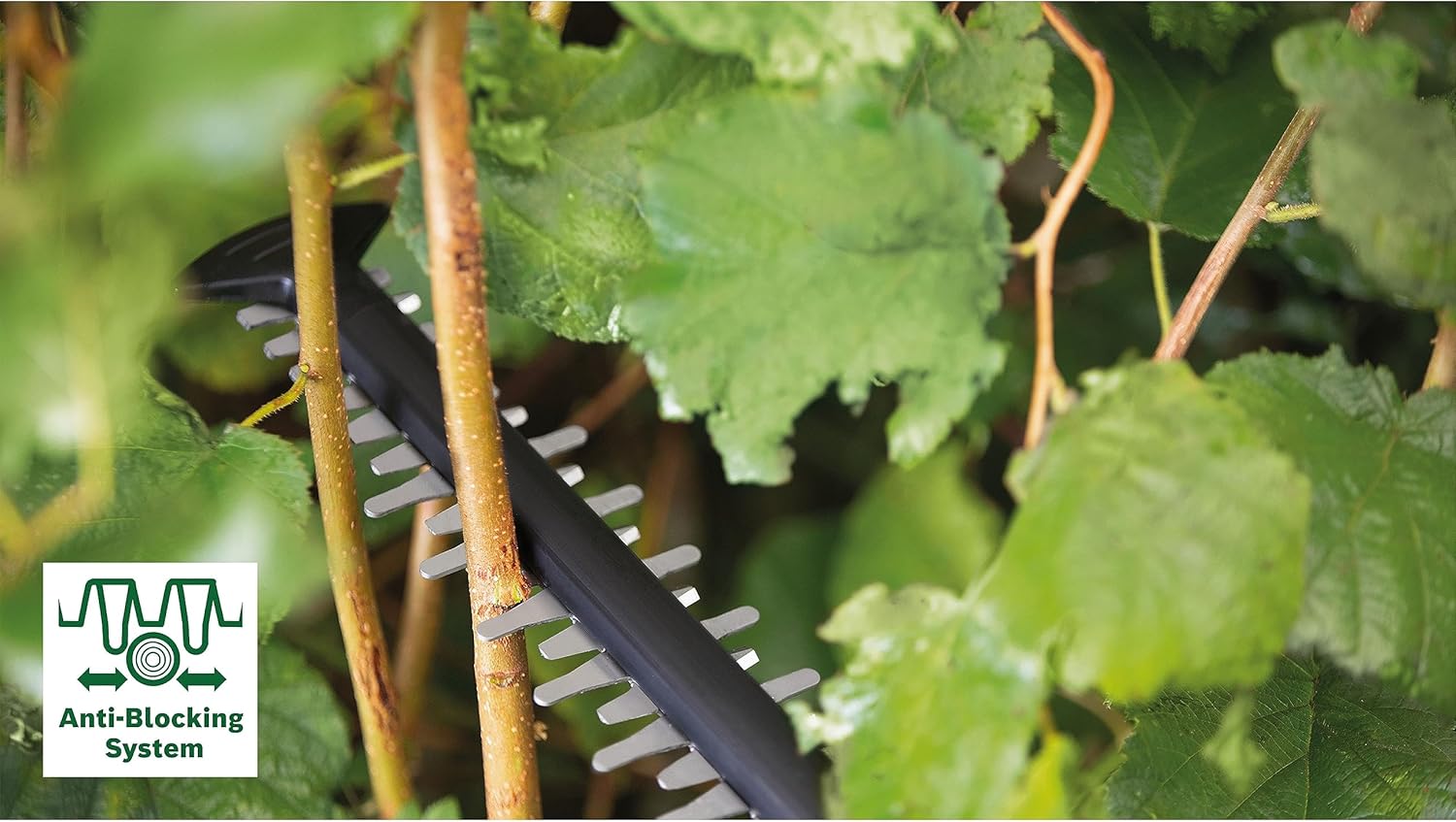Bosch Akku-Heckenschere AdvancedHedgeCut 36V-65-28 (1x 2,0-Ah-Akku, 36-Volt-System, Messerlnge 65 cm, im Karton) - Testnote: sehr gut (Magazin: selbst ist der Mann) – Bild 17